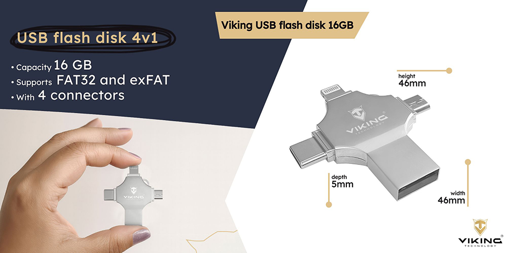 viking_flash_silver_1000(8)